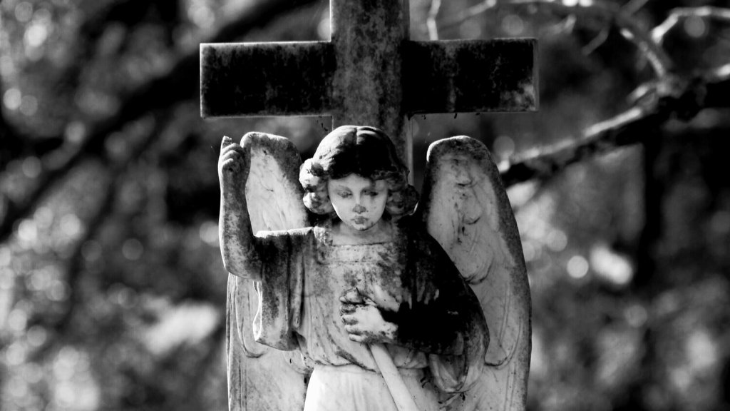 SOMETIMES THE GIANTS DON’T FALL